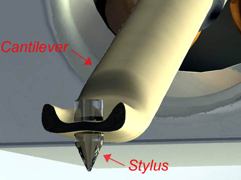 stylus and cantilever